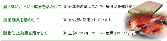 フィトンチッド　抗菌効果　酸化防止効果　フィトンエアー　泉南　まるせ和遊館